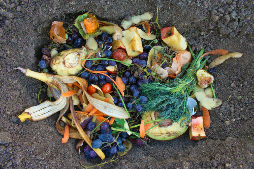 globaldailyfoodwaste