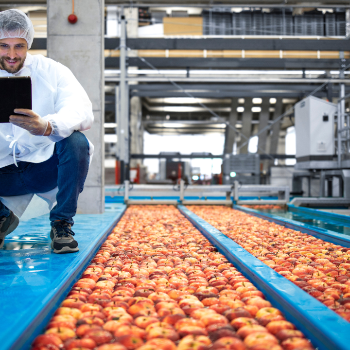 fruits factory preservative
