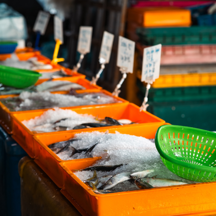 seafood aquaculture frozen export