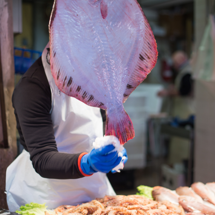seafood fish seller retailer frozen
